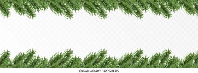 Vector fir branches. Spruce branches png, pine, spruce. Christmas decorations, Christmas background.