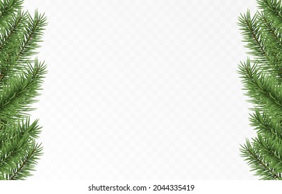 Vector fir branches. Spruce branches png, pine, spruce. Christmas decorations, Christmas background.