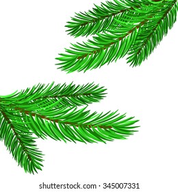 Vector Fir Green Branches Isolated on White Background
