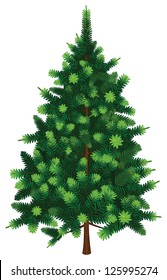 Vector Fir Tree