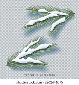 Vector fir tree branches. Vector illustration realistic fir tree branches with snow isolated on checkered background. Winter decoration elements.