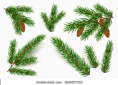 Vector Fir Tree Branches Isolated On White Background. Realistic Green Pine Branch With Cones. Design Element For Winter Holidays. Spruce Boughs In Different Shapes. Traditional Christmas Decoration.