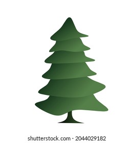 Vector fir tree or christmas tree