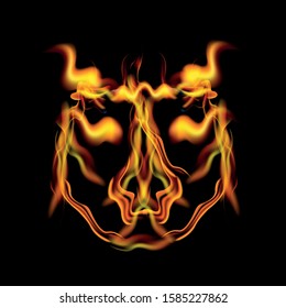 vector Fire Dragon Head, fire face, Dragon Head in Fire and Transperent Ornament, Fire Creature Logo