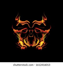 vector Fire Dragon Head, fire head, Dragon Head in Fire and Transperent Ornament, Fire Creature Logo