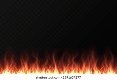 Vector fire png. Fire or bonfire on a transparent background. Fire background.