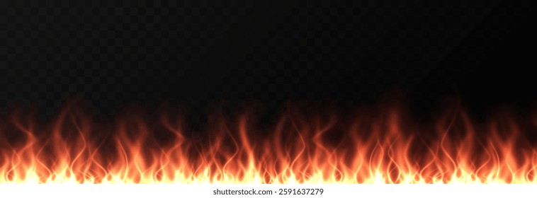 Vector fire png. Fire or bonfire on a transparent background. Fire background.