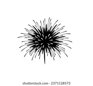 Vector firework icon . Firework with stars and sparks .Firework simple black line icon .	
