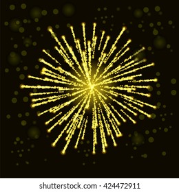 Vector Firework Lights up the Sky on Black Background