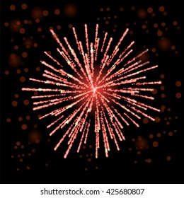 Vector Firework Lights up the Sky on Black Background