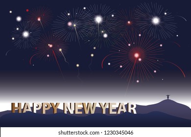 vector firework on dark night background
