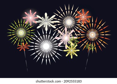 vector firework on the night sky