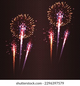 vector fireworks bursting. Firework explosion in night.