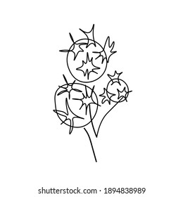 Vector Fireworks in doodle style.One simple sky.Illustration bright lights for Chinese New Year with black line hand drawn.Design for menus,cards,stickers,prints,social networks,web.  