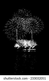 Vector Fireworks with reflection on lake
