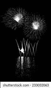 Vector Fireworks with reflection on lake