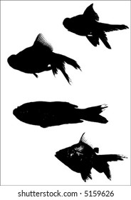 vector fish