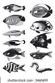 Vector fish, black and white