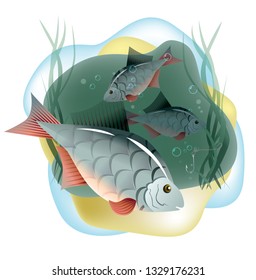 vector fish carp in the sea bait, worm, hook, sand algae