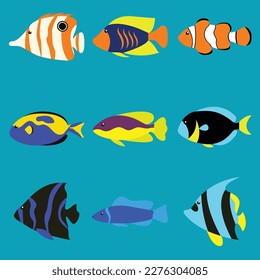 vector fish collection various colorful sea fish