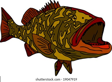 Vector - Fish Gag Grouper Isolated On White Background