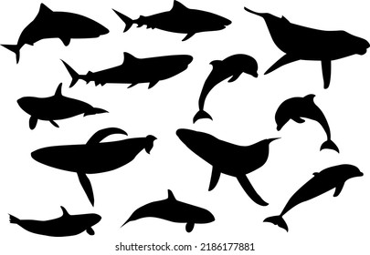 Iconos de peces vectoriales en fondo blanco aislado