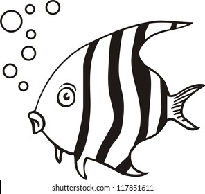 vector fish illustration