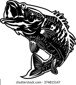 Vector fish illustration