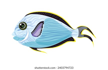 Vector fish illustration on white background