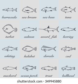 vector fish line illustration set