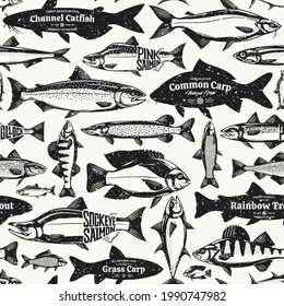 Vector fish retro styled seamless pattern or background. Fish illustration collection