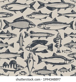 Vector fish retro styled seamless pattern or background. Fish illustration collection