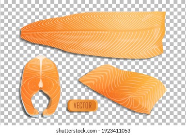 Vektorfisch, Lachsfilet und Steak. Realistische Illustration einzeln auf transparentem Hintergrund