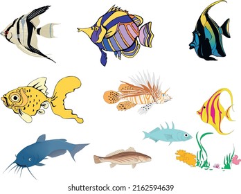 vector fish set. Collection of cartoon fish.