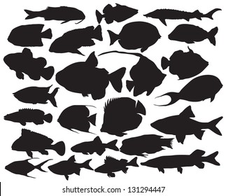 Vector fish silhouettes