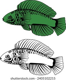 vector fish silhouettes black on white 