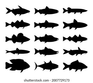 Vector fish silhouettes isolated on a white background