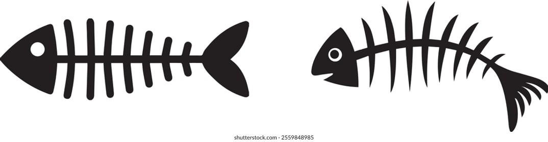 vector fish, fish skeleton animal drawing	