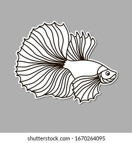 Vector fish sticker on the grey background. Outline fish. Exotic gold fish. White vector fish.