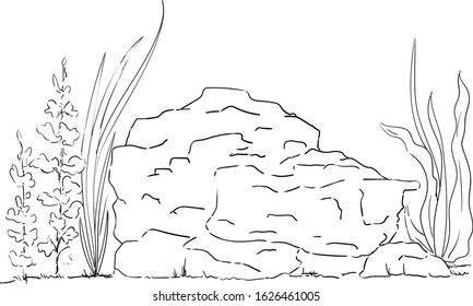 vector - fish tank - decoration -  isolated on bacground