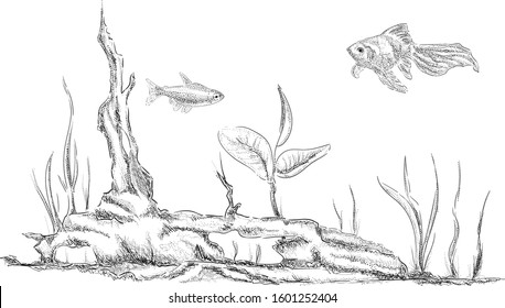 vector - fish tank - isolated on bacground