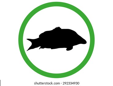 Vector fishing allowed symbol with green color.