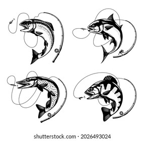 Vector fishing illustrations with jumping fish, fishing rod, line and hook. Salmon, tuna, pike and perch fish illustrations