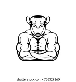 Vector fitness body with camel head, face  for retro logos, emblems, badges, labels template and t-shirt vintage design element. Isolated on white background