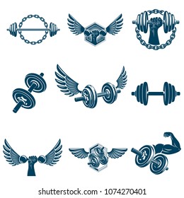 Vector fitness workout theme illustrations collection created with dumbbells, barbells and disc weights sport equipment. Muscular sportsman body silhouette.