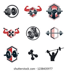 Vector fitness workout theme illustrations collection created with dumbbells, barbells and disc weights sport equipment. Muscular sportsman body silhouette.