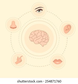 vector five senses icons, human nose, ear, eye and mouth illustration