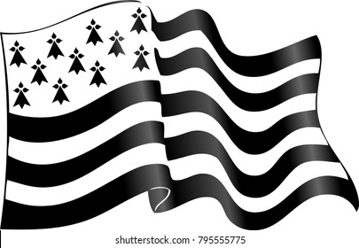 Vector flag of Brittany waving on wind isolated on white background