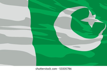 Vector flag of Pakistan