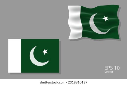vector flag of Pakistan, illustration.